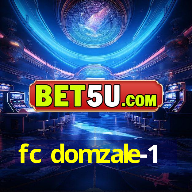 fc domzale